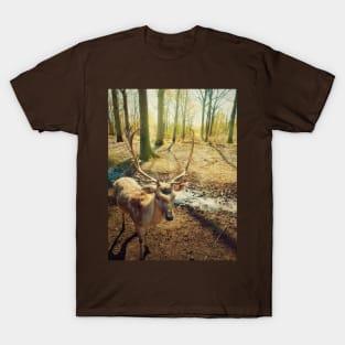 stag T-Shirt